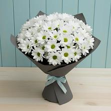 Букет цветов из:  Хризантемы #REPLACE_PRED# Правокубанском