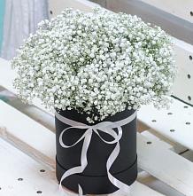 Цветочная композиция из Гипсофила в шляпной коробке #REPLACE_PRED# Правокубанском