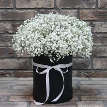 Цветочная композиция из Гипсофила в шляпной коробке в Правокубанском